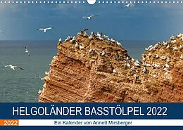 Kalender Helgoländer Basstölpel 2022 (Wandkalender 2022 DIN A3 quer) von Annett Mirsberger