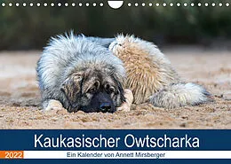 Kalender Kaukasischer Owtscharka (Wandkalender 2022 DIN A4 quer) von Annett Mirsberger