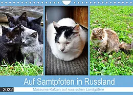 Kalender Auf Samtpfoten in Russland - Museums-Katzen auf russischen Landgütern (Wandkalender 2022 DIN A4 quer) von Henning von Löwis of Menar