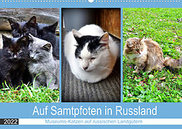 Kalender Auf Samtpfoten in Russland - Museums-Katzen auf russischen Landgütern (Wandkalender 2022 DIN A2 quer) von Henning von Löwis of Menar
