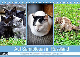 Kalender Auf Samtpfoten in Russland - Museums-Katzen auf russischen Landgütern (Tischkalender 2022 DIN A5 quer) von Henning von Löwis of Menar