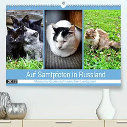 Kalender Auf Samtpfoten in Russland - Museums-Katzen auf russischen Landgütern (Premium, hochwertiger DIN A2 Wandkalender 2022, Kunstdruck in Hochglanz) von Henning von Löwis of Menar