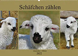 Kalender Schäfchen zählen - Lämmchen-Edition (Wandkalender 2022 DIN A2 quer) von Sabine Löwer
