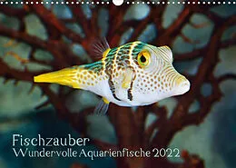 Kalender Fischzauber - Wundervolle Aquarienfische (Wandkalender 2022 DIN A3 quer) von Rainer Plett