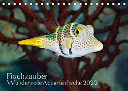 Kalender Fischzauber - Wundervolle Aquarienfische (Tischkalender 2022 DIN A5 quer) von Rainer Plett
