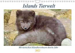 Kalender Islands Tierwelt - Mit tierischen Inselbewohnern durchs Jahr (Wandkalender 2022 DIN A4 quer) von Patrick Dehnhardt