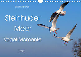 Kalender Steinhuder Meer, Vogel-Momente (Wandkalender 2022 DIN A4 quer) von Christine Bienert
