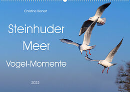 Kalender Steinhuder Meer, Vogel-Momente (Wandkalender 2022 DIN A2 quer) von Christine Bienert