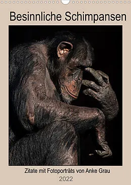 Kalender Schimpansen (Wandkalender 2022 DIN A3 hoch) von Anke Grau
