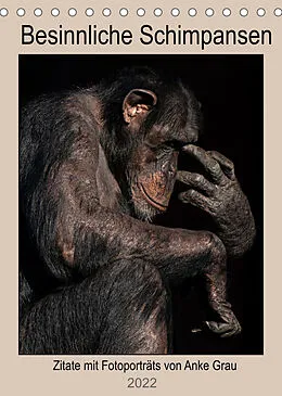 Kalender Schimpansen (Tischkalender 2022 DIN A5 hoch) von Anke Grau