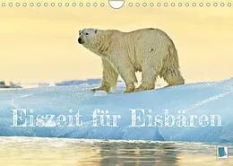 Kalender Eisbären: Lebenskünstler im Eis (Wandkalender 2022 DIN A4 quer) von CALVENDO