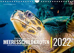 Kalender Einblicke in die Welt der Meeresschildkröten (Wandkalender immerwährend DIN A4 quer) von Christian Hubo - feel4nature