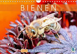 Kalender Bienen auf Sammeltour (Wandkalender 2022 DIN A4 quer) von CALVENDO