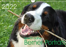 Kalender Tierisch nahe Berner-Porträts (Wandkalender 2022 DIN A4 quer) von Sonja Brenner