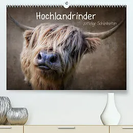 Kalender Zottelige Schönheiten - Hochlandrinder (Premium, hochwertiger DIN A2 Wandkalender 2022, Kunstdruck in Hochglanz) von Claudia Moeckel