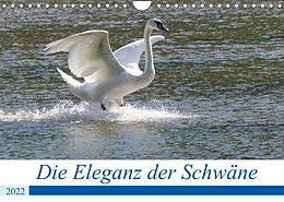 Kalender Die Eleganz der Schwäne (Wandkalender 2022 DIN A4 quer) von Andreas Müller Fotografie