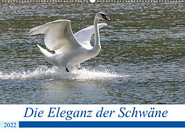 Kalender Die Eleganz der Schwäne (Wandkalender 2022 DIN A2 quer) von Andreas Müller Fotografie