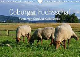Kalender Coburger Fuchsschaf (Wandkalender 2022 DIN A4 quer) von Cordula Kelle-Dingel