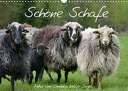 Kalender Schöne Schafe (Wandkalender 2022 DIN A3 quer) von Cordula Kelle-Dingel