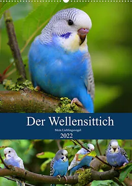 Kalender Der Wellensittich - Mein Lieblingsvogel (Wandkalender 2022 DIN A2 hoch) von Björn Bergmann