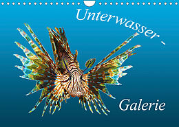 Kalender Portrait: Meeresfische (Wandkalender 2022 DIN A4 quer) von Ute Niemann