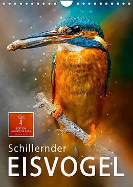 Kalender Schillernder Eisvogel (Wandkalender 2022 DIN A4 hoch) von Peter Roder