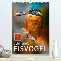 Kalender Schillernder Eisvogel (Premium, hochwertiger DIN A2 Wandkalender 2022, Kunstdruck in Hochglanz) von Peter Roder