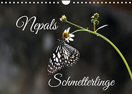 Kalender Nepals Schmetterlinge (Wandkalender 2022 DIN A4 quer) von Andreas Hennighaußen