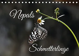 Kalender Nepals Schmetterlinge (Tischkalender 2022 DIN A5 quer) von Andreas Hennighaußen