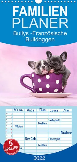 Kalender Familienplaner Bullys - Französische Bulldoggen 2022 (Wandkalender 2022 , 21 cm x 45 cm, hoch) von Jeanette Hutfluss