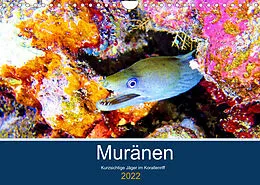 Kalender Muränen - Kurzsichtige Jäger im Korallenriff (Wandkalender 2022 DIN A4 quer) von Andrea Hess