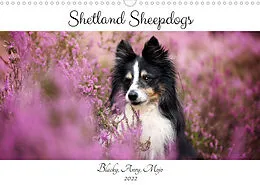 Kalender Shetland Sheepdogs Blacky, Anry, Mojo 2022 (Wandkalender 2022 DIN A3 quer) von Madlen Kudla