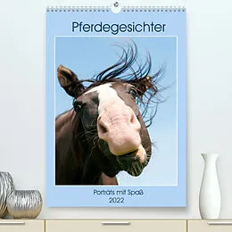 Kalender Pferdegesichter - Porträts mit Spaß (Premium, hochwertiger DIN A2 Wandkalender 2022, Kunstdruck in Hochglanz) von Meike Bölts