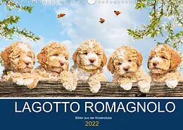 Kalender Lagotto Romagnolo - Bilder aus der Kinderstube (Wandkalender 2022 DIN A3 quer) von Sigrid Starick