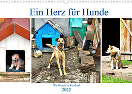 Kalender Ein Herz für Hunde - Kettenhunde in Russland (Wandkalender 2022 DIN A3 quer) von Henning von Löwis of Menar