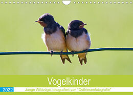 Kalender Vogelkinder - Junge Wildvögel (Wandkalender 2022 DIN A4 quer) von Christina Betten - Ostfriesenfotografie