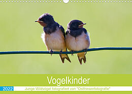 Kalender Vogelkinder - Junge Wildvögel (Wandkalender 2022 DIN A3 quer) von Christina Betten - Ostfriesenfotografie