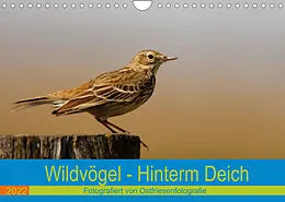 Kalender Wildvögel - Hinterm Deich (Wandkalender 2022 DIN A4 quer) von Christina Betten - Ostfriesenfotografie