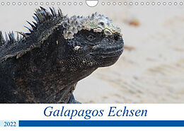 Kalender Galapagos Echsen (Wandkalender 2022 DIN A4 quer) von Johannes Reeh