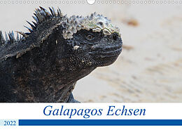 Kalender Galapagos Echsen (Wandkalender 2022 DIN A3 quer) von Johannes Reeh
