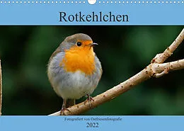 Kalender Rotkehlchen - Fotografiert von Ostfriesenfotografie (Wandkalender 2022 DIN A3 quer) von Christina Betten - Ostfriesenfotografie