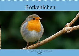 Kalender Rotkehlchen - Fotografiert von Ostfriesenfotografie (Wandkalender 2022 DIN A2 quer) von Christina Betten - Ostfriesenfotografie