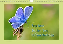 Kalender Papillons-Butterflies-Schmetterlinge (Wandkalender 2022 DIN A4 quer) von Karin Berger (Kabefa)