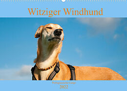 Kalender Witziger Windhund - Portugiesischer Galgo (Wandkalender 2022 DIN A2 quer) von Meike Bölts
