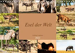 Kalender Esel der Welt - Lieblings Langohren (Wandkalender 2022 DIN A4 quer) von Meike Bölts
