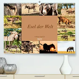 Kalender Esel der Welt - Lieblings Langohren (Premium, hochwertiger DIN A2 Wandkalender 2022, Kunstdruck in Hochglanz) von Meike Bölts