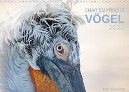 Kalender Charismatische Vögel (Wandkalender 2022 DIN A3 quer) von Falko Düsterhöft