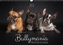 Kalender Bullymania - Französische Bulldoggen (Wandkalender 2022 DIN A3 quer) von Silke Gareis (SCHNAPP-Schuss)