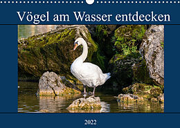 Kalender Vögel am Wasser entdecken (Wandkalender 2022 DIN A3 quer) von Teresa Bauer