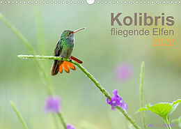 Kalender Kolibris - fliegende Elfen (Wandkalender 2022 DIN A3 quer) von Falko Düsterhöft
